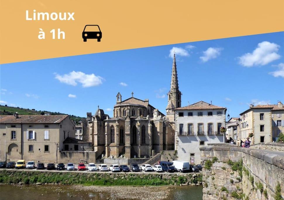 L'Orchidee, Proche De La Gare Avec Clim Et Terrasse Daire Narbonne Dış mekan fotoğraf